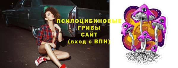прущий лед Дмитриев
