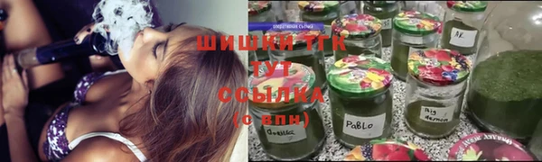 прущий лед Дмитриев