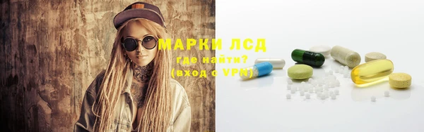 прущий лед Дмитриев