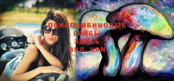 таблы Дмитров