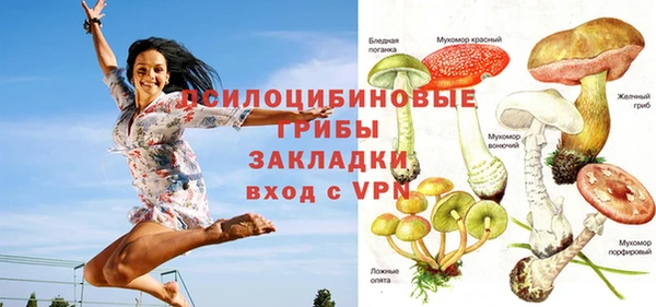 прущий лед Дмитриев